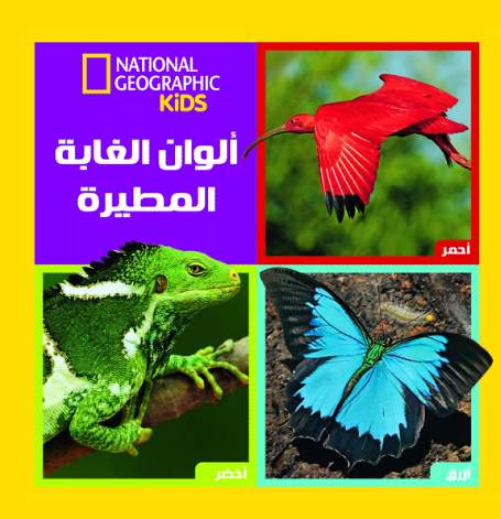 ألوان الغابة