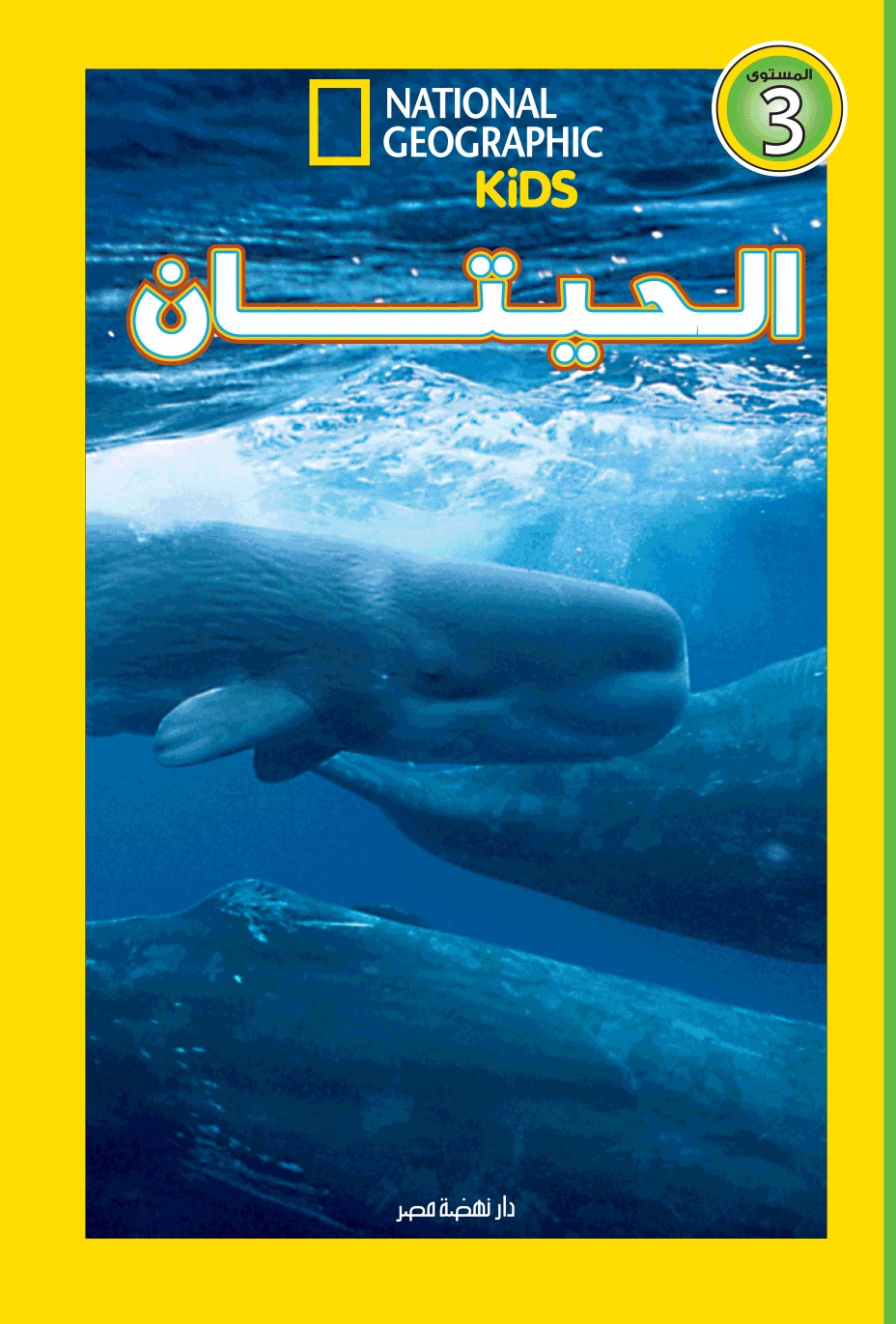 اقرأ مع ناشيونال جيوجرافيك  الحيتان