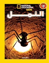 اقرأ مع ناشيونال جيوجرافيك  النمل