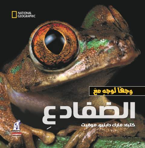 وجها لوجه  الضفادع