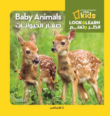 صغار الحيوانات
